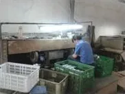 محطة القص والفرز. تُفصل الطلقات وتُزال نتوءاتها وتُرتّب في صناديق بحسب رقم القطعة ق
