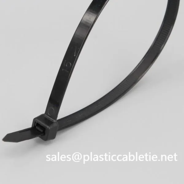 DM-2.5*200mm cable ties famous black natural colourful nylon single loop cable ties