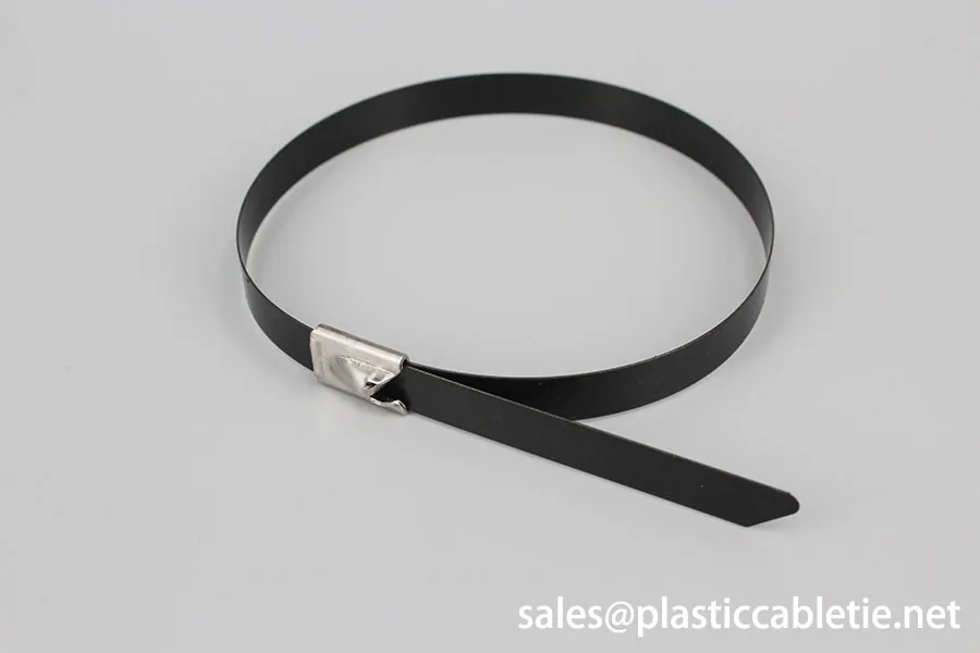 201 304 316 epoxy coated Stainless steel cable ties-ball self locking