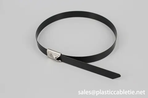 201 304 316 epoxy coated Stainless steel cable ties-ball self locking view 3