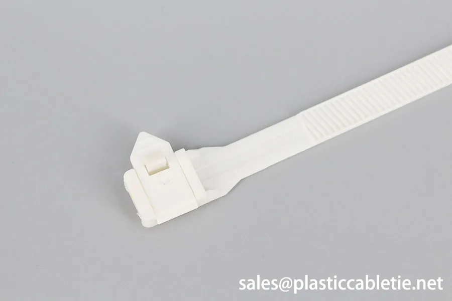 DEMOELE 9mm width Reusable cable tie with buckle