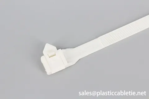 DEMOELE 9mm width Reusable cable tie with buckle view 3