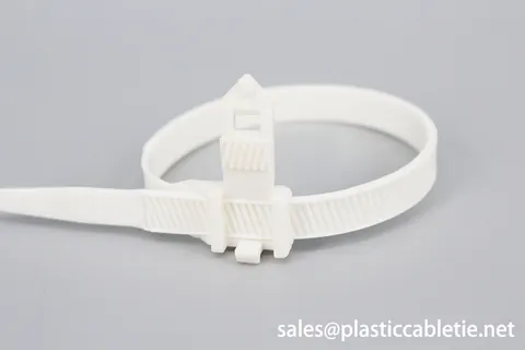 DEMOELE 9mm width Reusable cable tie with buckle view 4