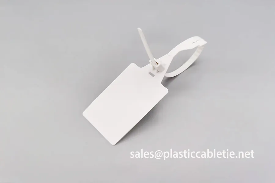 DEMOELE DM-6*300SL Medium Duty Pull Tight Security Seal with Tear Off