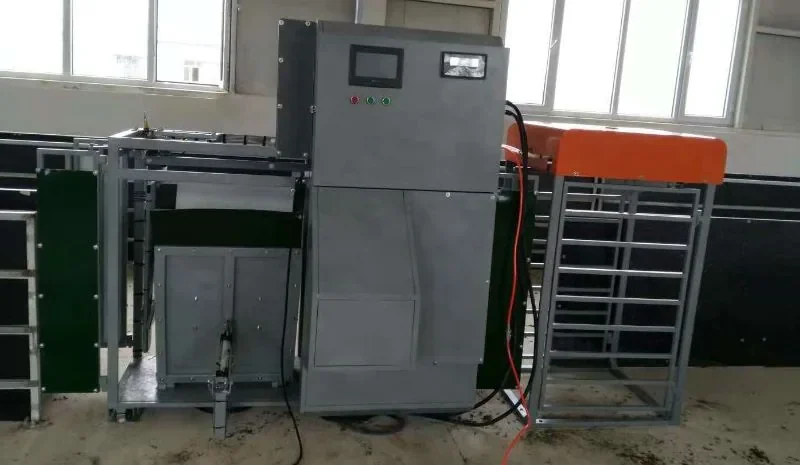RBC-ZCF-YZ01 automated sheep weighing and grouping system with three-level gates and RFID reader