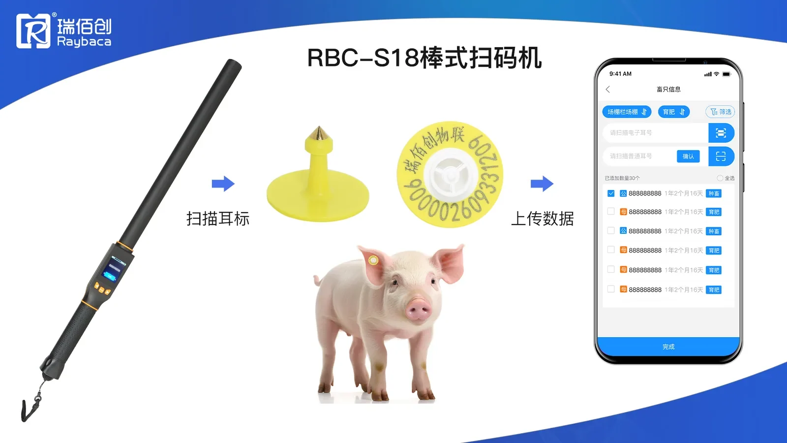 شرح القارئ العصوي RBC-S18