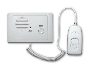 Embedded Extension