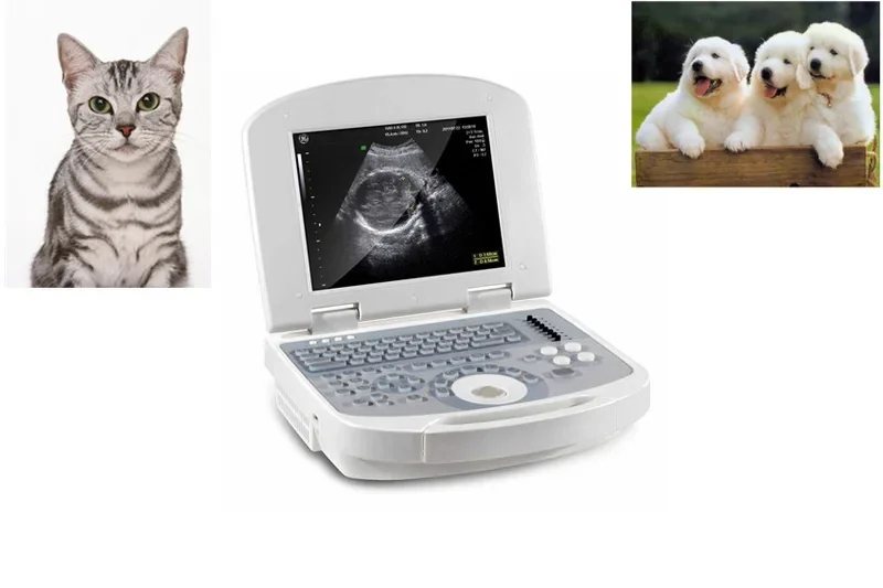 Laptop VET Ultrasound Scanner