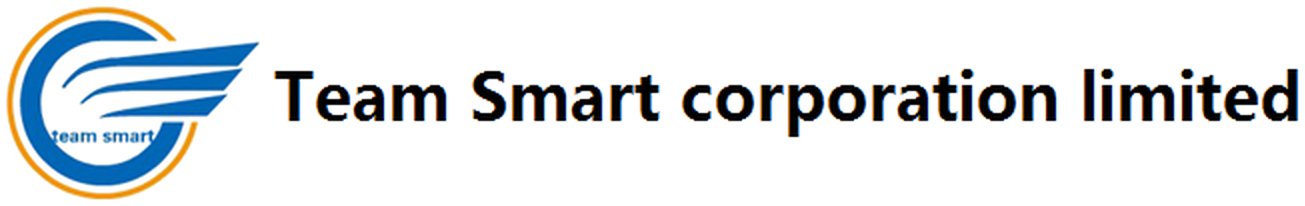 Logotipo de Team Smart Corporation Limited