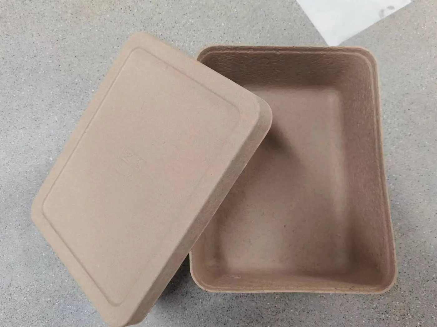Molded Pulp Packaging
