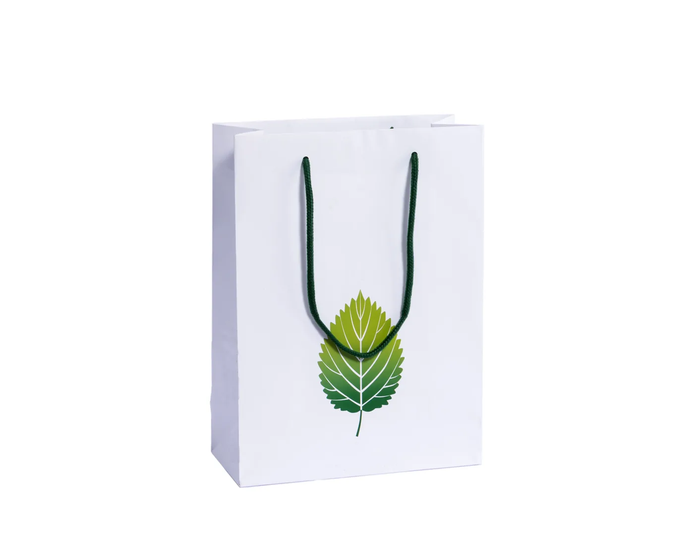 Shopping Bags