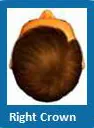 Right crown hair style